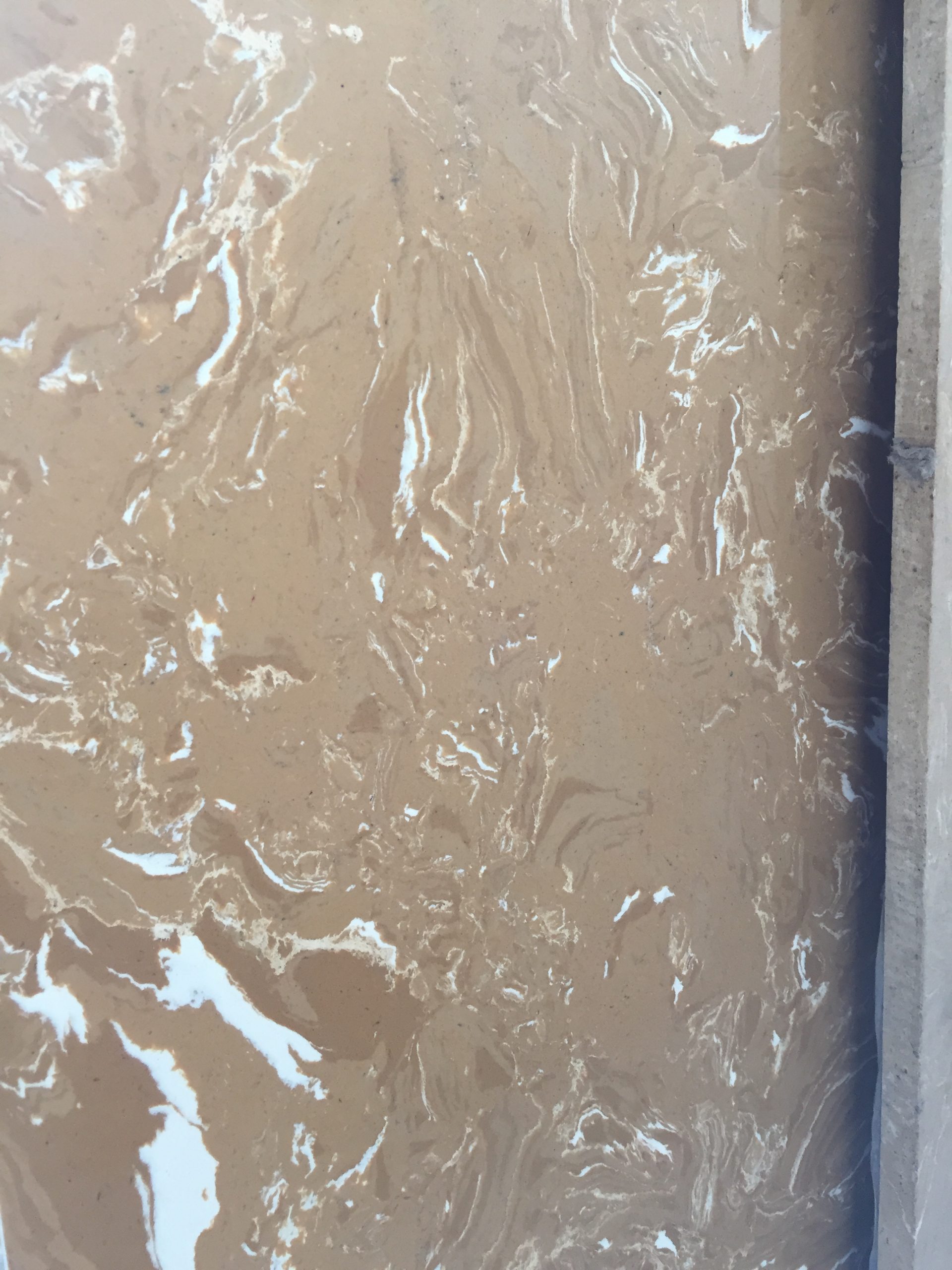 IMG_2698 IMG 2698 scaled